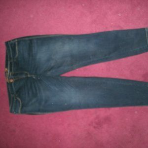 Lane Bryant Sevens Skinny Jeans